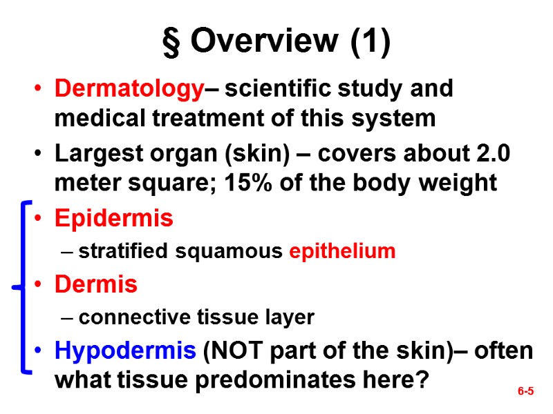 6-5 § Overview (1) Dermatology– scientific study and medical treatment of this system Largest